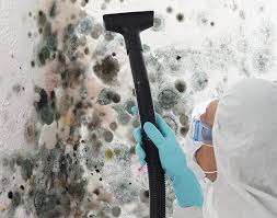 Best Forensic Mold Investigation  in Ritzville, WA